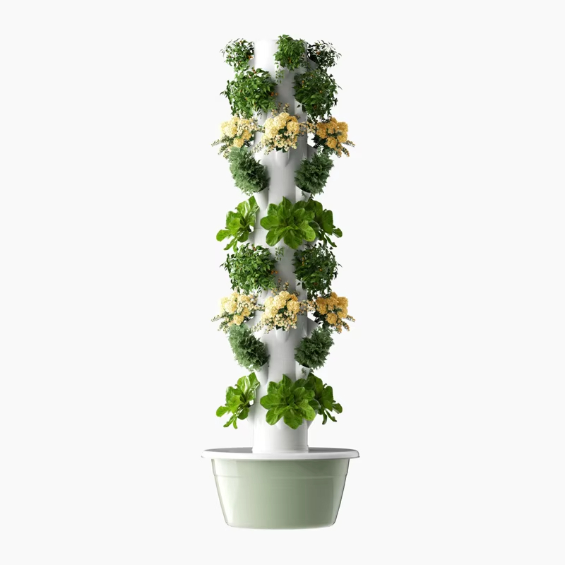 ระบบปลูกพืชแบบไฮโดรโปนิกส์แบบโ - Urban Farming Urban Gardening บทวิจารณ์และราคา
