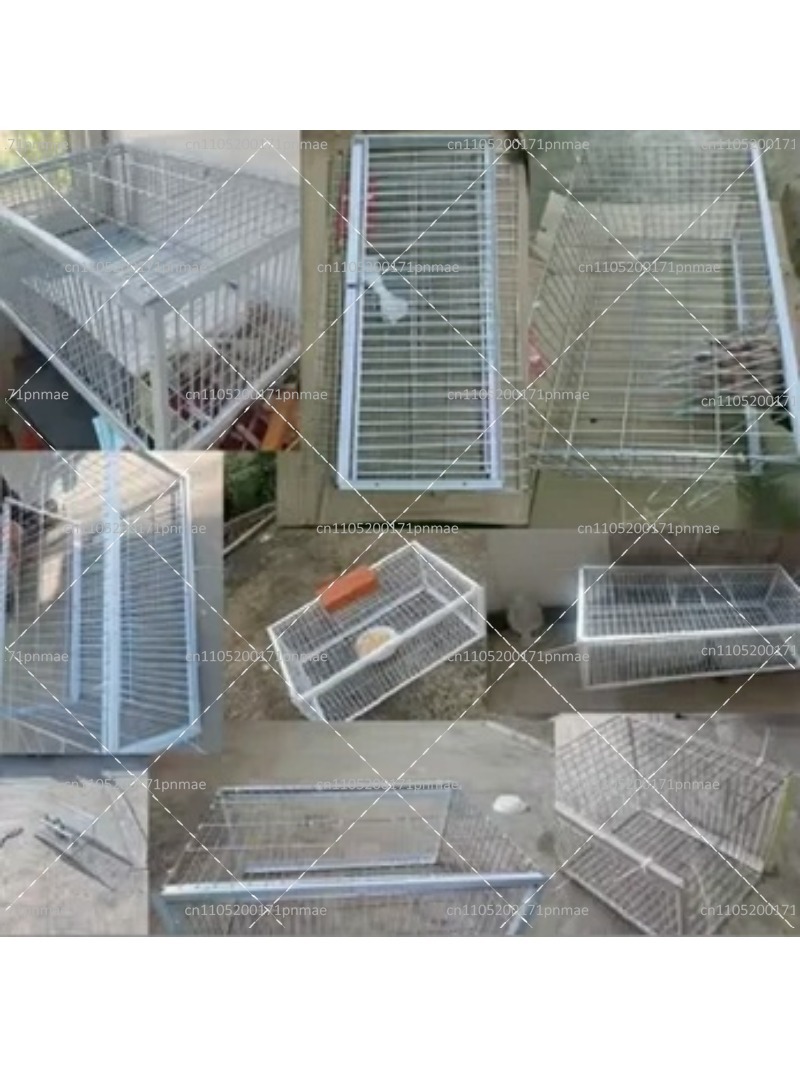 กรงดักนกพิราบอเนกประสงค์สำหรับ - Urban Farming Urban Gardening บทวิจารณ์และราคา